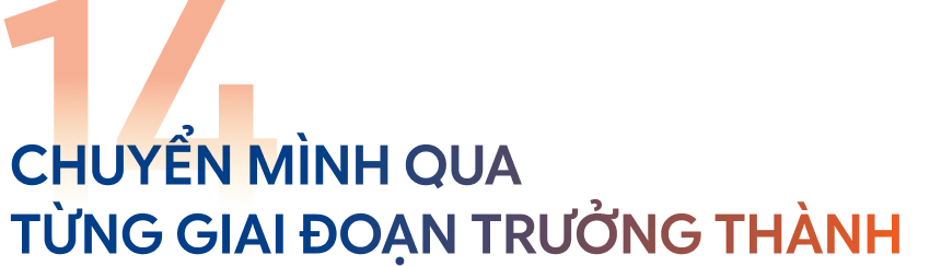 Chuyển mình qua từng giai đoạn trưởng thành