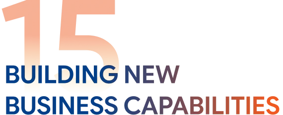 Building new business capabilities